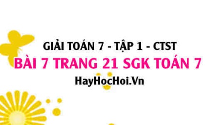 Giải bài 7 trang 21 Toán 7 Tập 1 SGK Chân trời sáng tạo